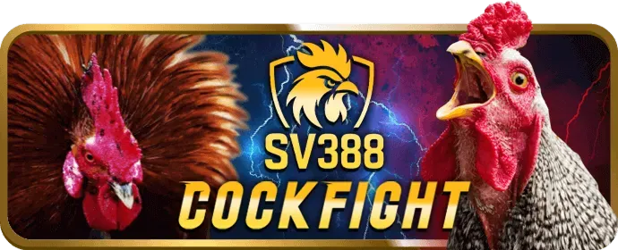 Chương trình VIP ff168 nhà cái